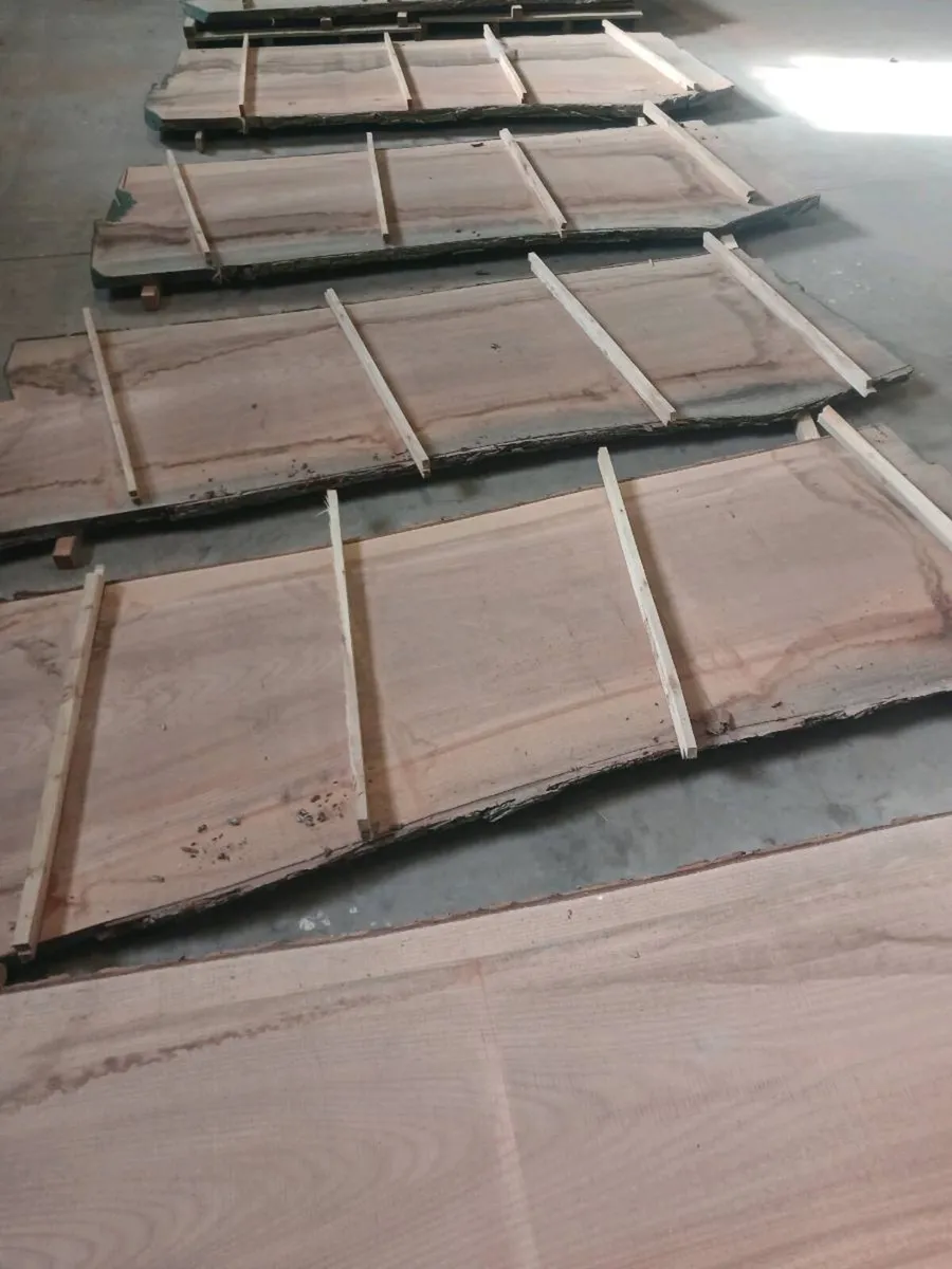 Live edge table top kitchen house - Image 1