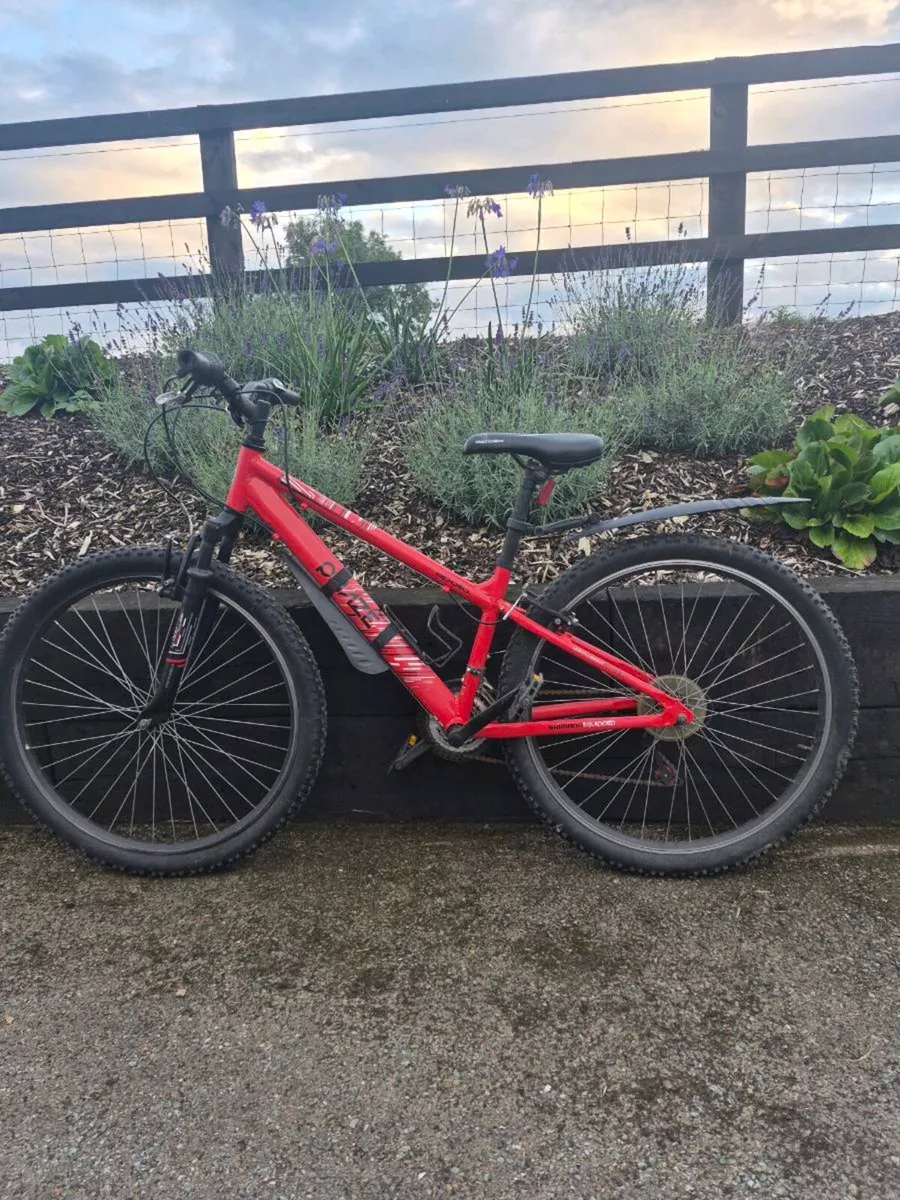 Kids bike - Image 1