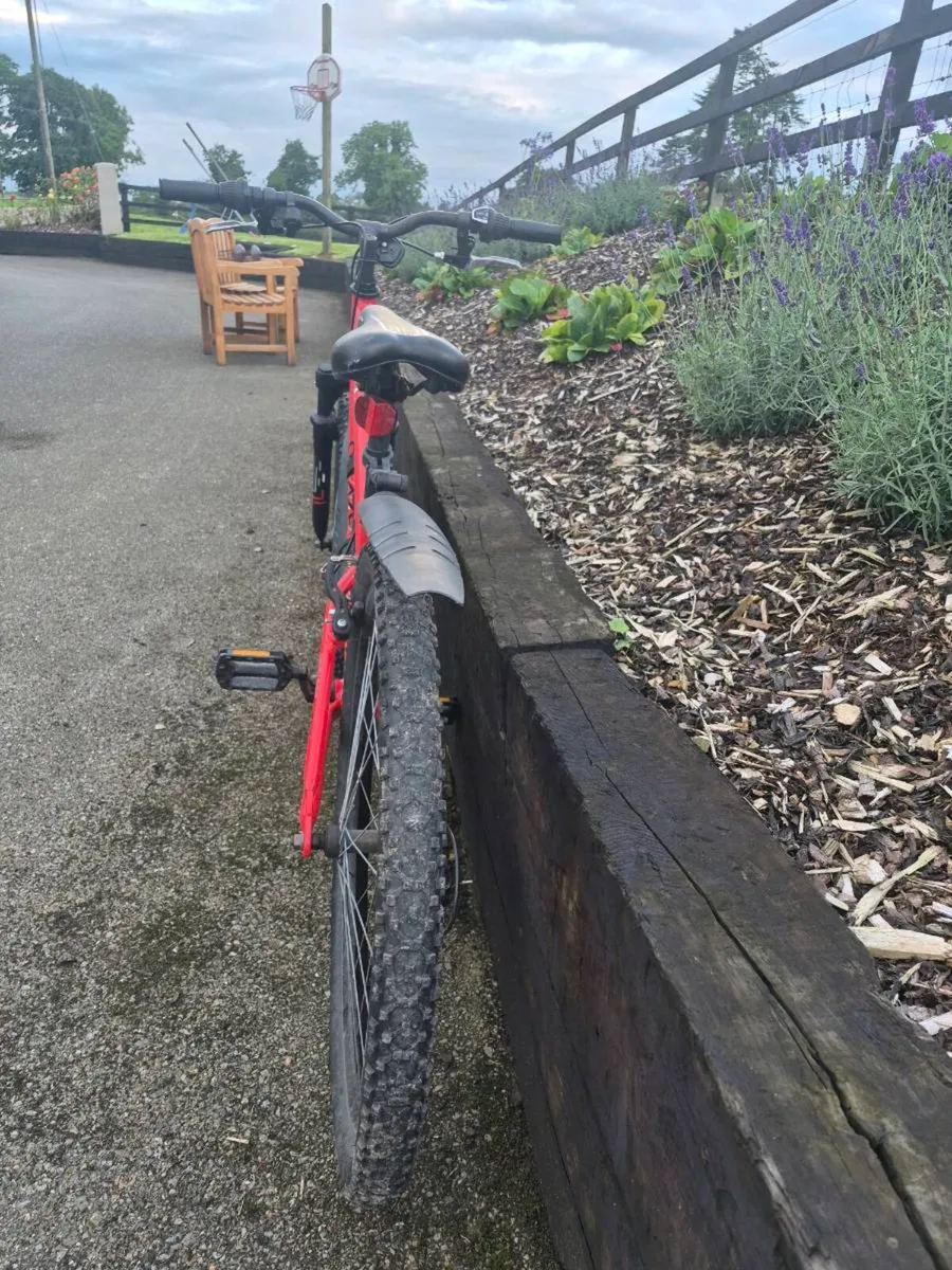 Kids bike - Image 2