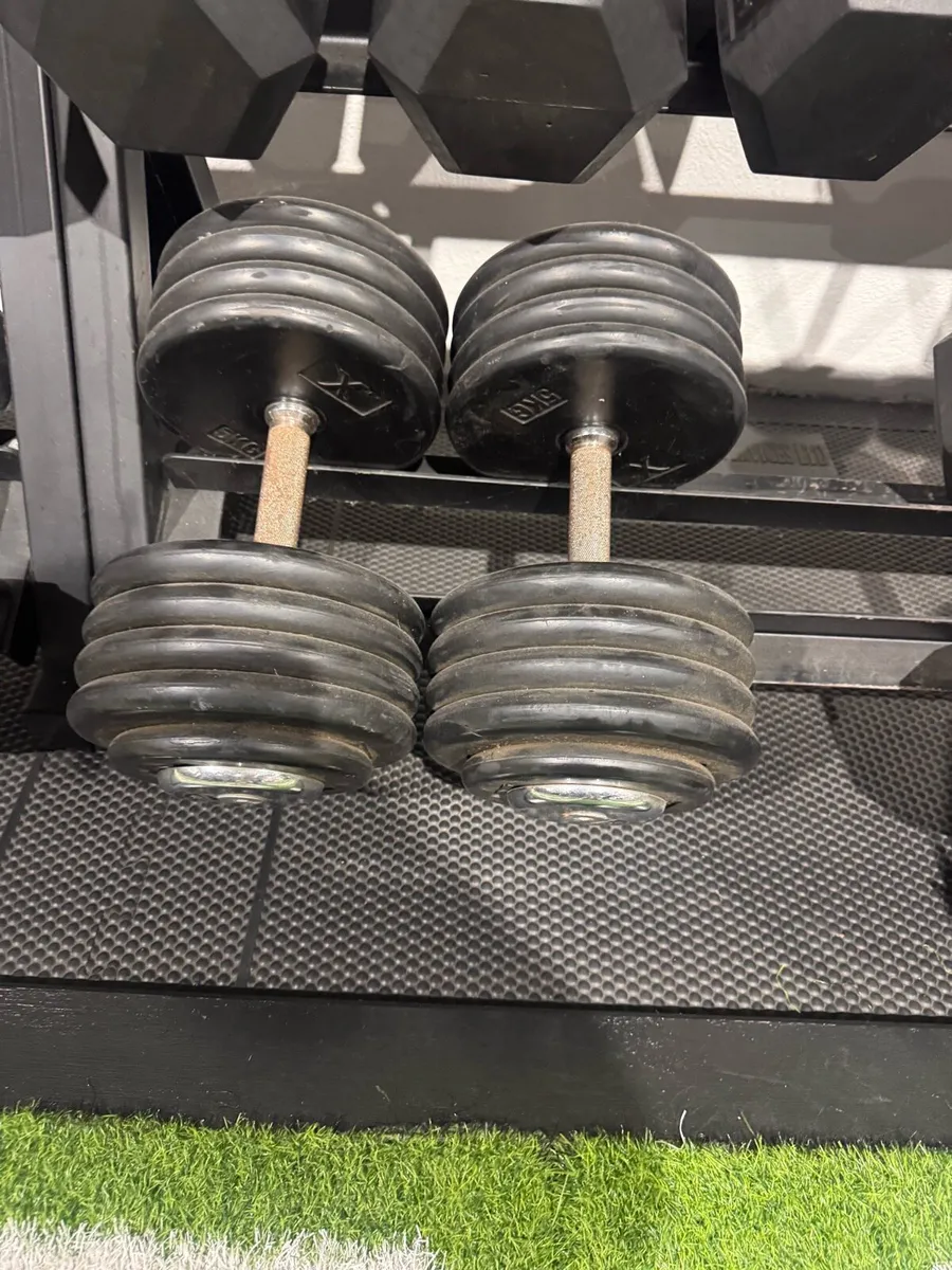 46kg Dumbbell - Image 2