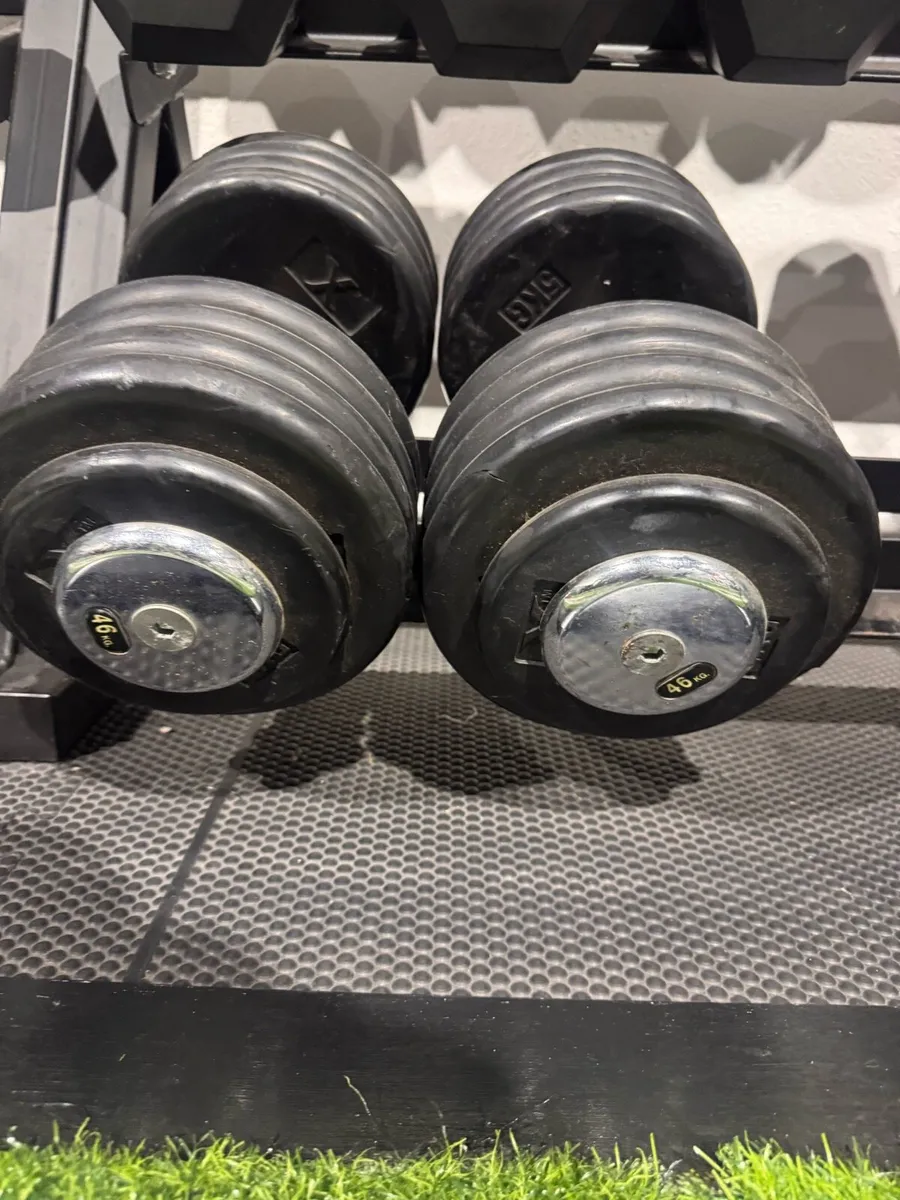 46kg Dumbbell - Image 1