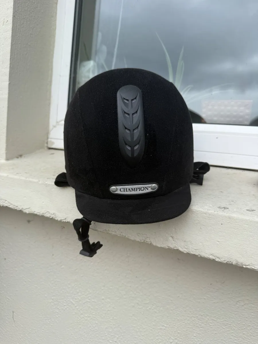 Horse riding gear. - Image 4