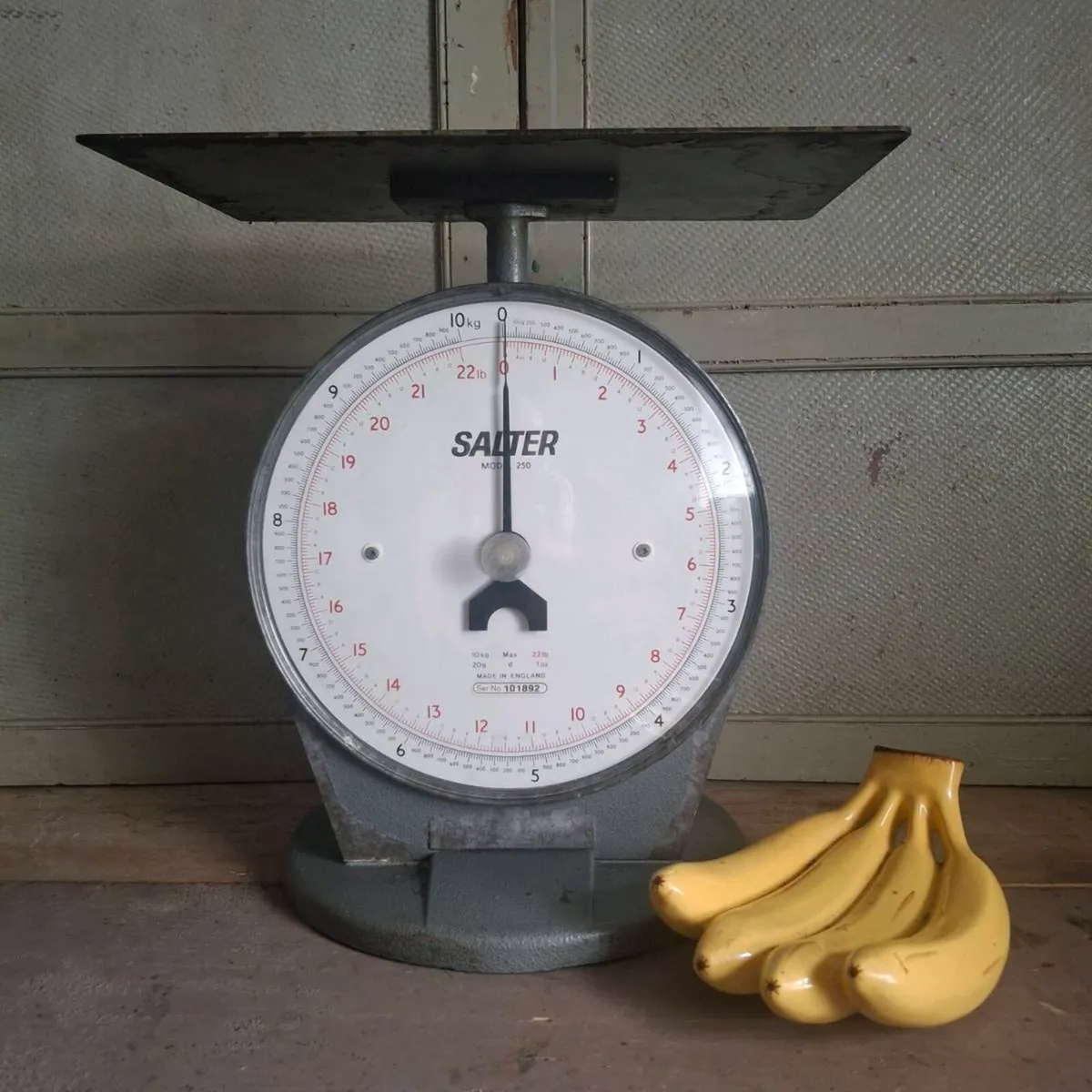 Salter Model 250 Industrial Scales - Image 1
