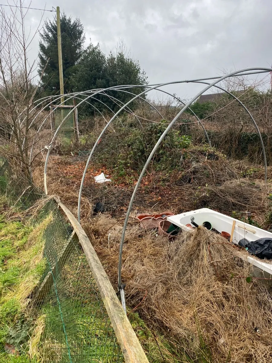 Polytunnel frame - Image 2