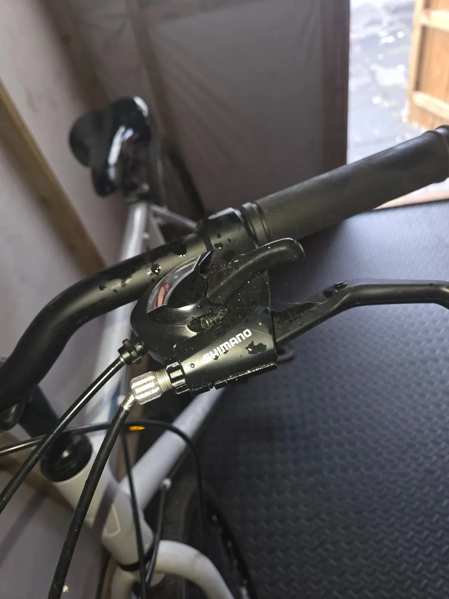 Insync Bicycle - Image 2