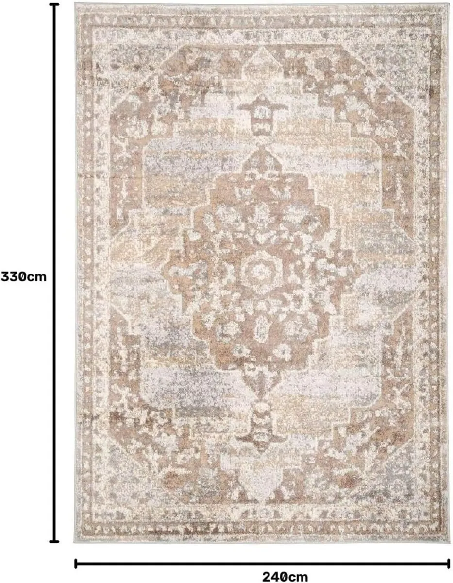 Antique Warm Neutral Greige Living Room Area Rug - Image 3