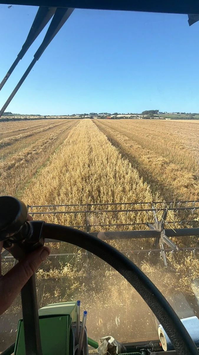 Oaten Round bales - Image 2