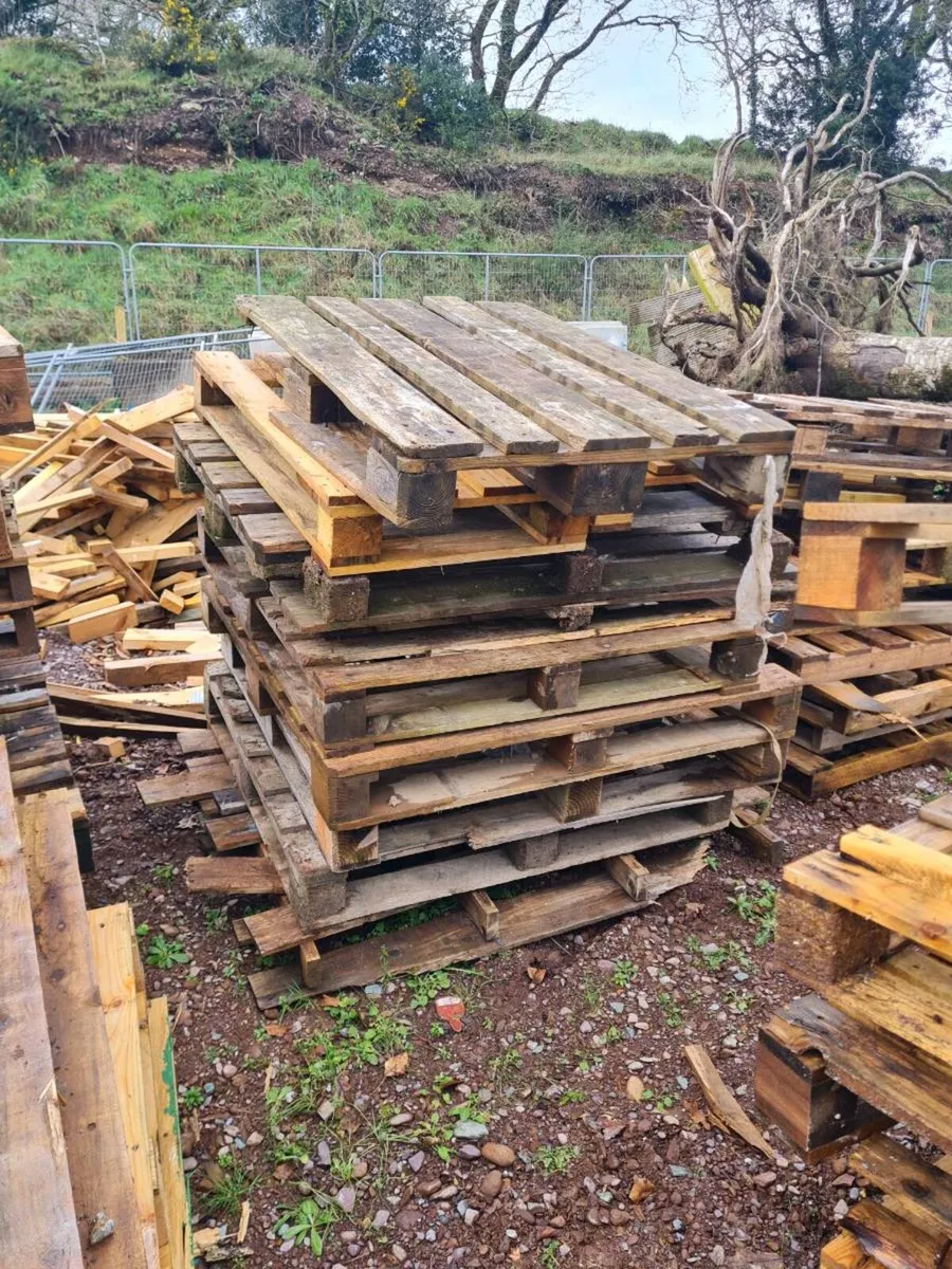 Free pallets - Image 1