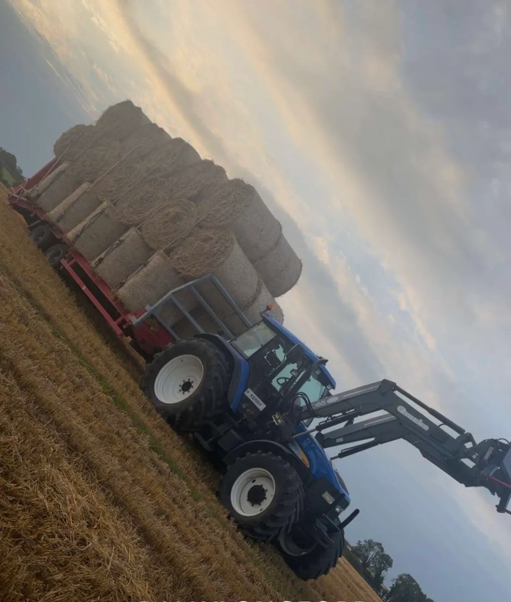 Oaten Round bales - Image 3
