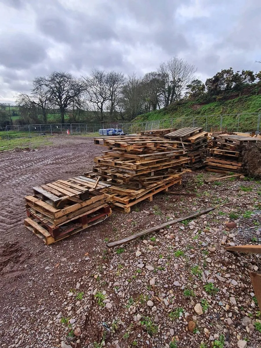 Free pallets - Image 2
