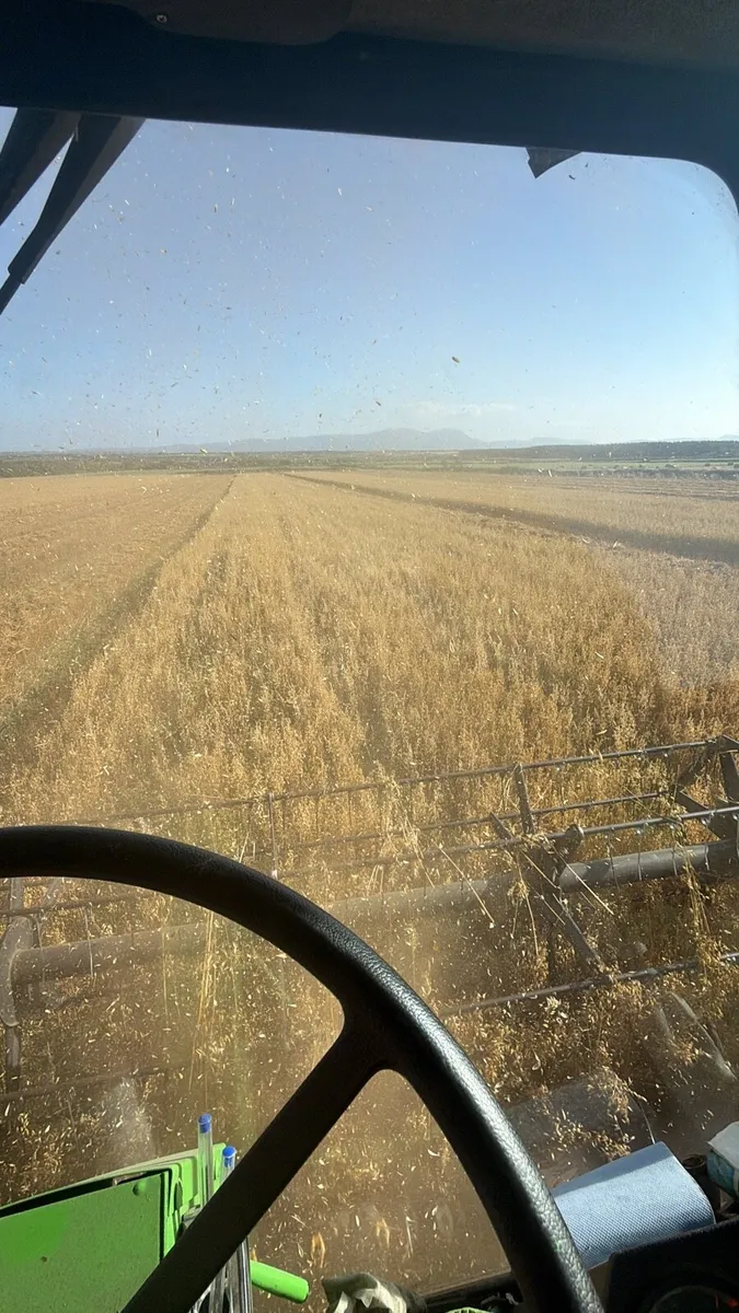 Oaten Round bales - Image 4
