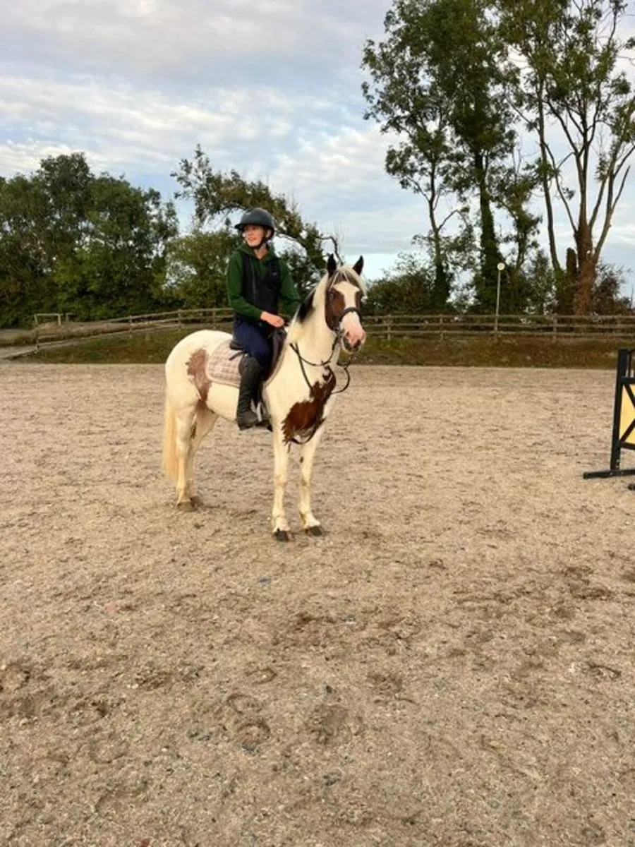 Super kids pony - Image 2