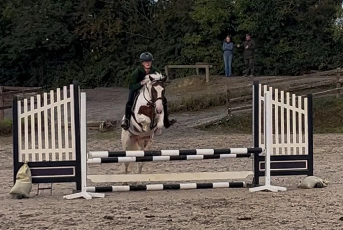 Super kids pony - Image 3