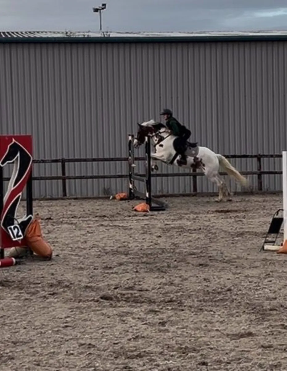 Super kids pony - Image 4
