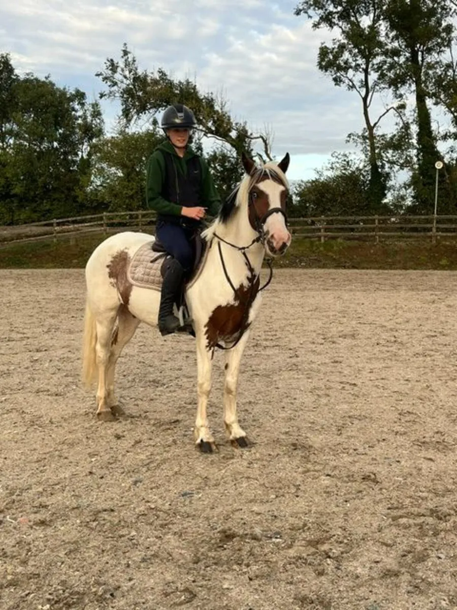 Super kids pony - Image 1