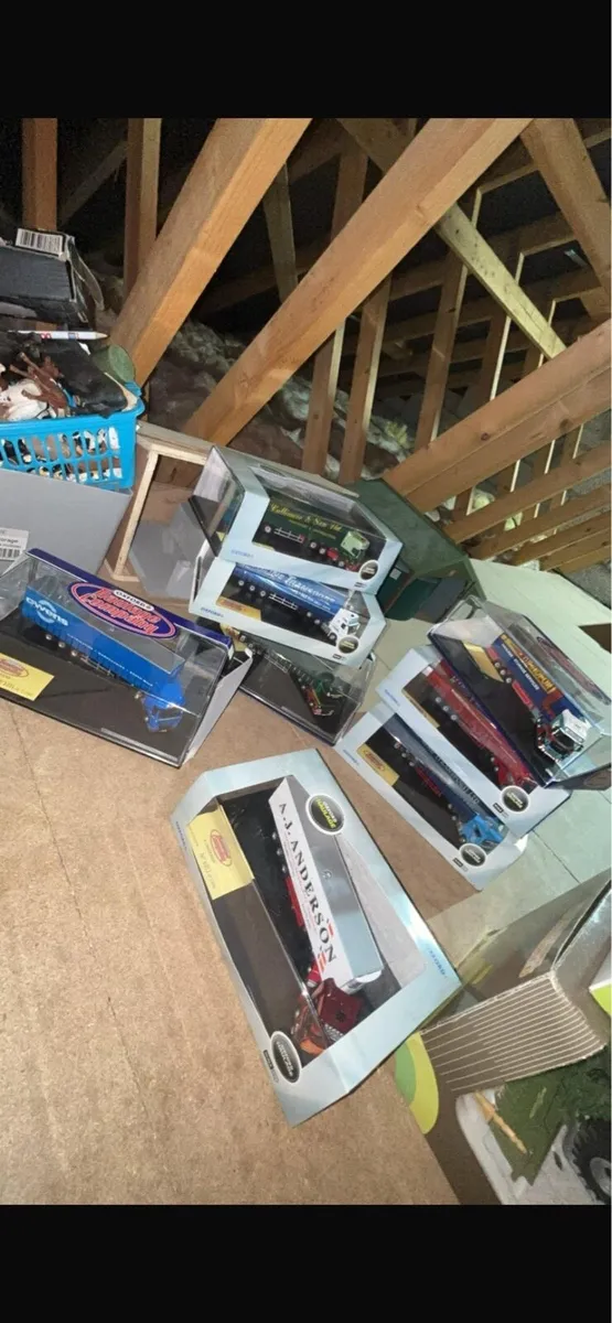Shed clearout - Image 4
