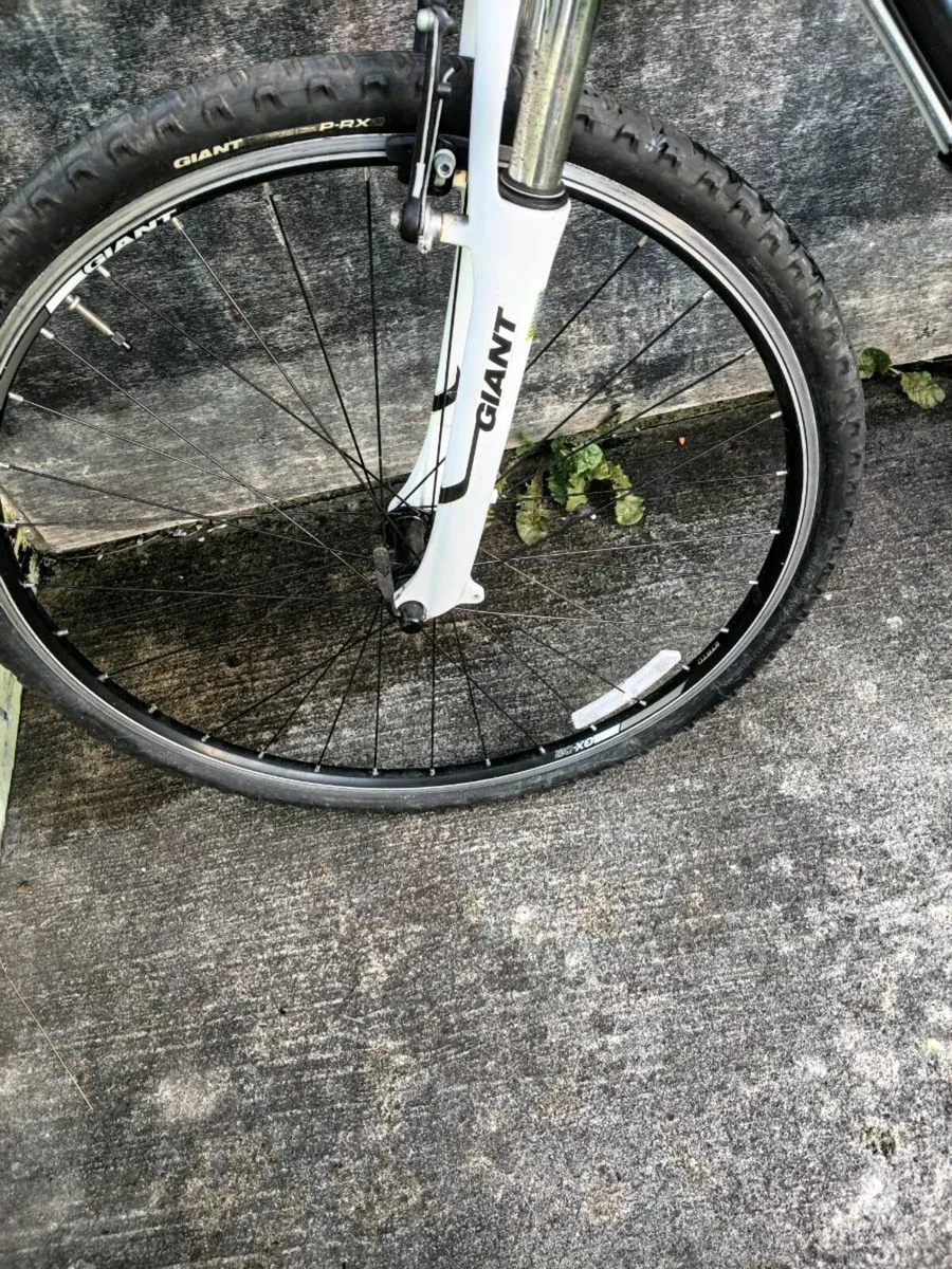 Giant roam 3 mountain bike - Image 2