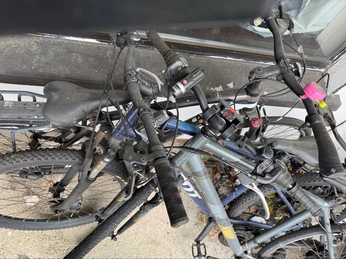Bicycles - Image 1