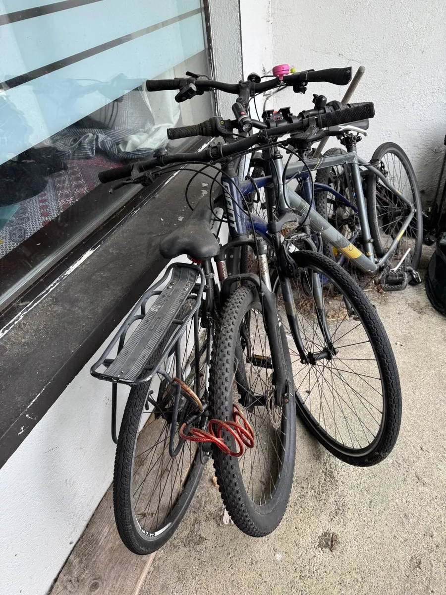 Bicycles - Image 3