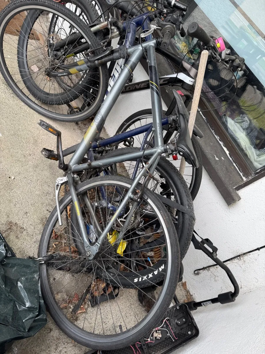 Bicycles - Image 4