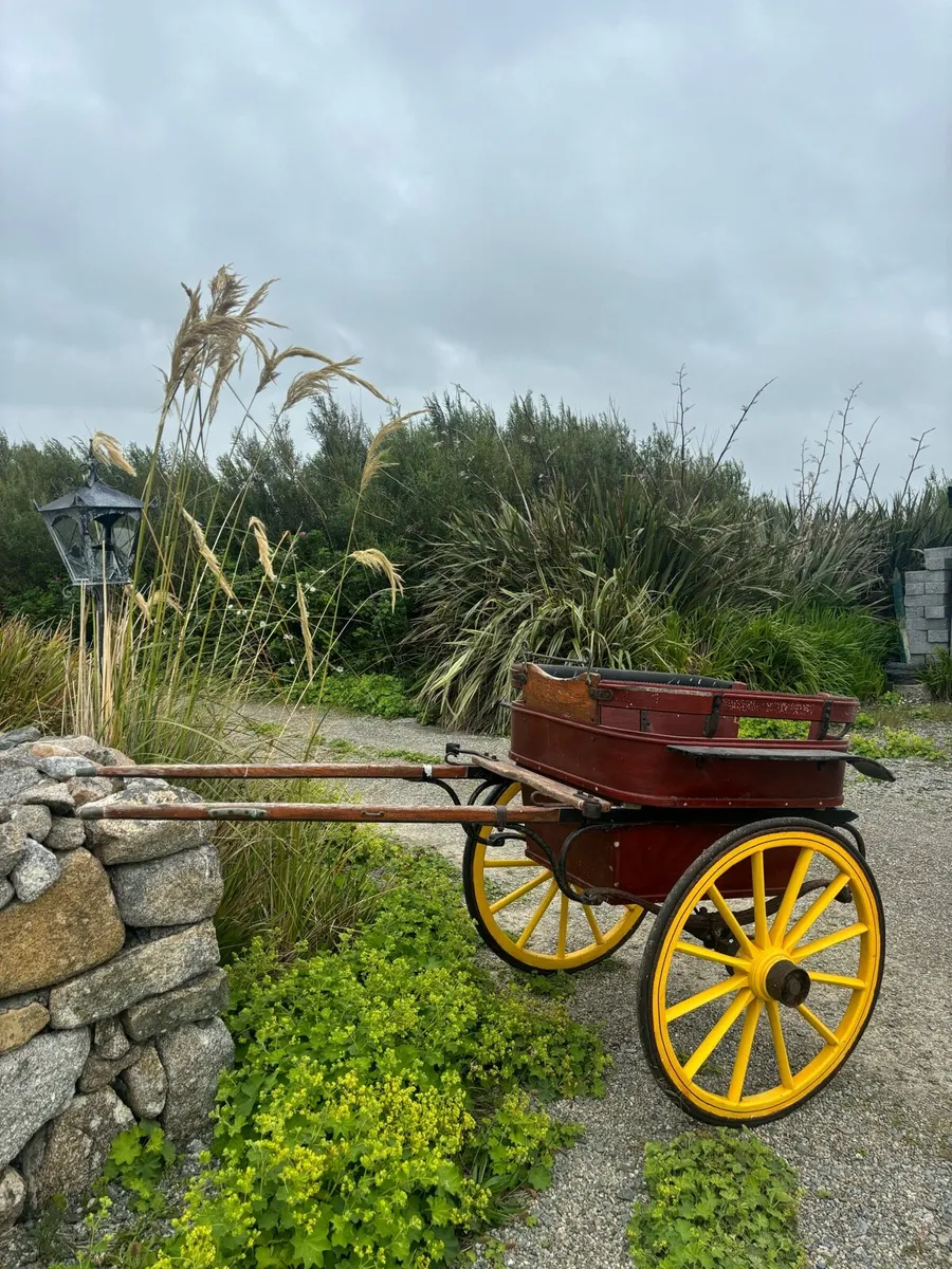 Horse Trap - Image 1