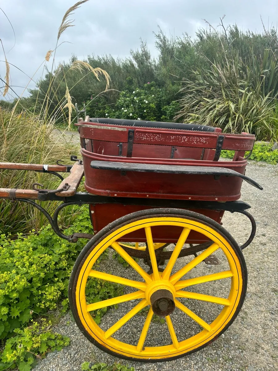 Horse Trap - Image 3