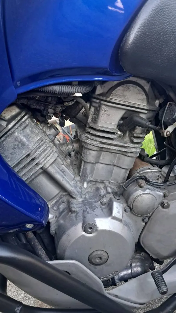 Transalp 650 honda - Image 4