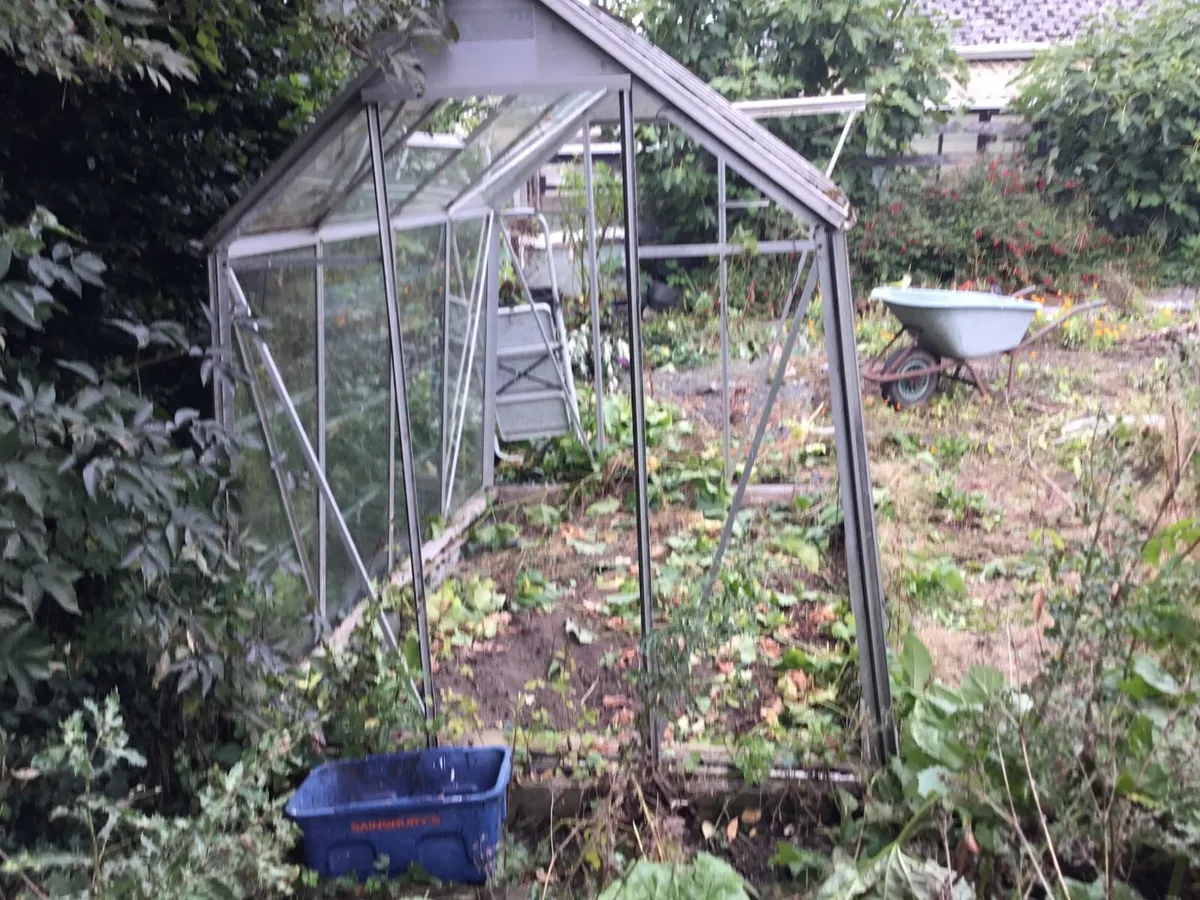 Greenhouse - Image 2