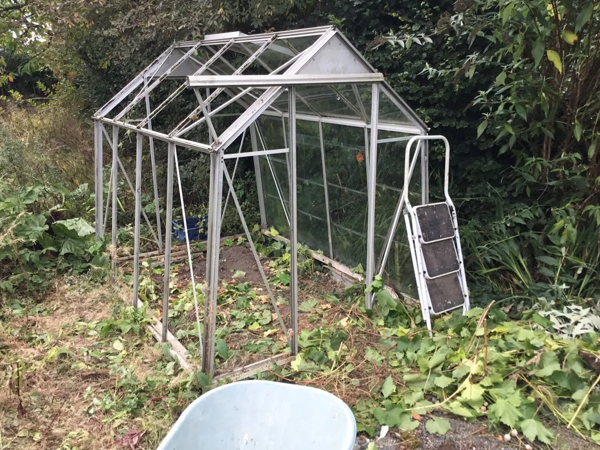 Greenhouse - Image 3