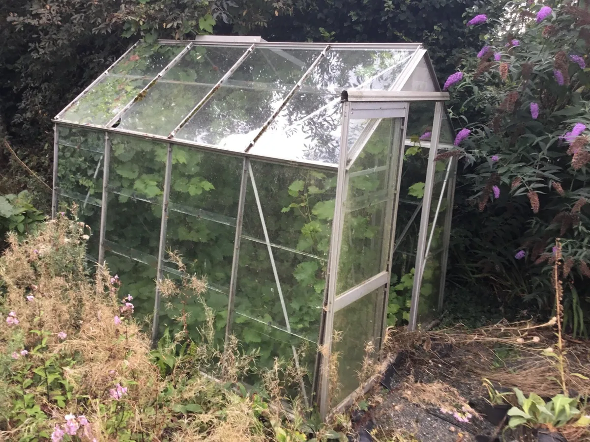 Greenhouse - Image 1