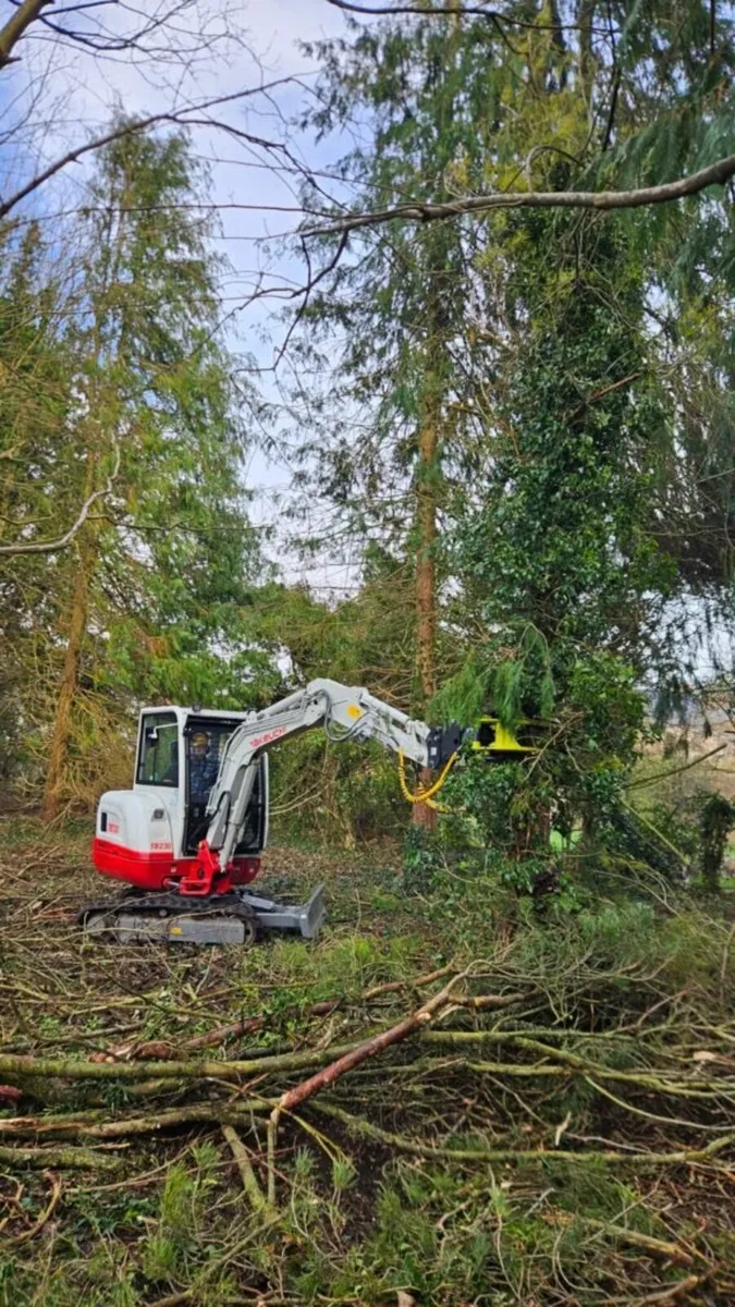 Tree Surgeon/Storm Cleanup - Image 1