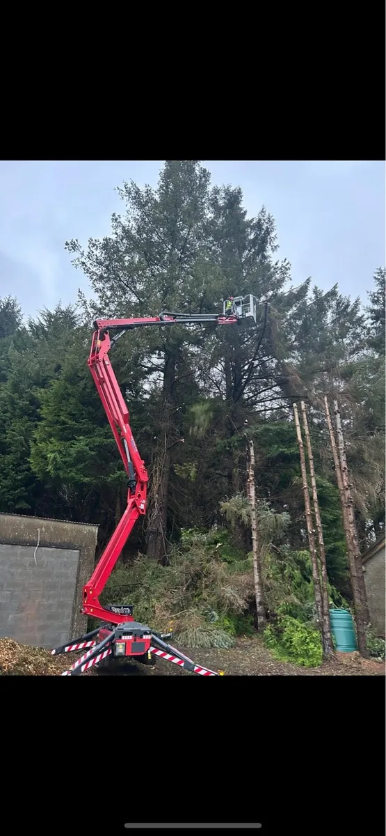 Tree Surgeon/Storm Cleanup - Image 2