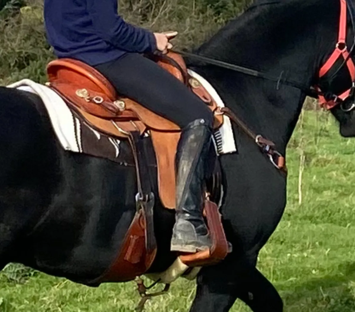 Horseriding saddle - Image 4