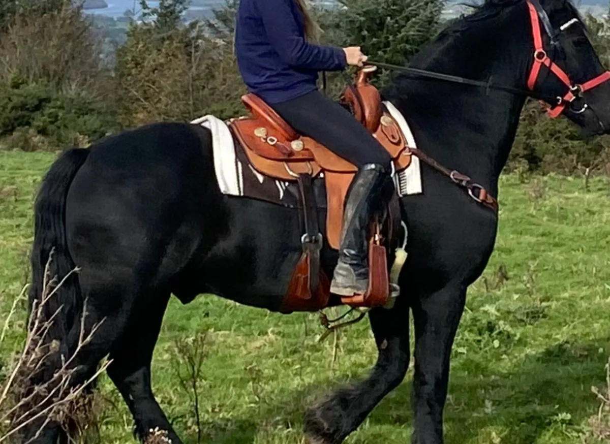 Horseriding saddle - Image 1