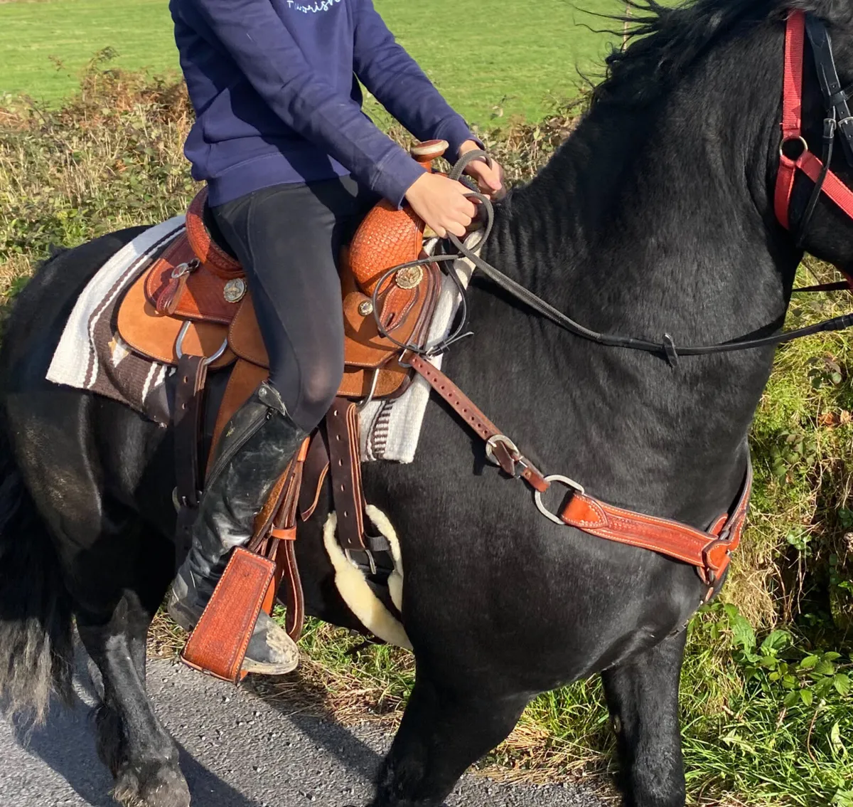 Horseriding saddle - Image 2