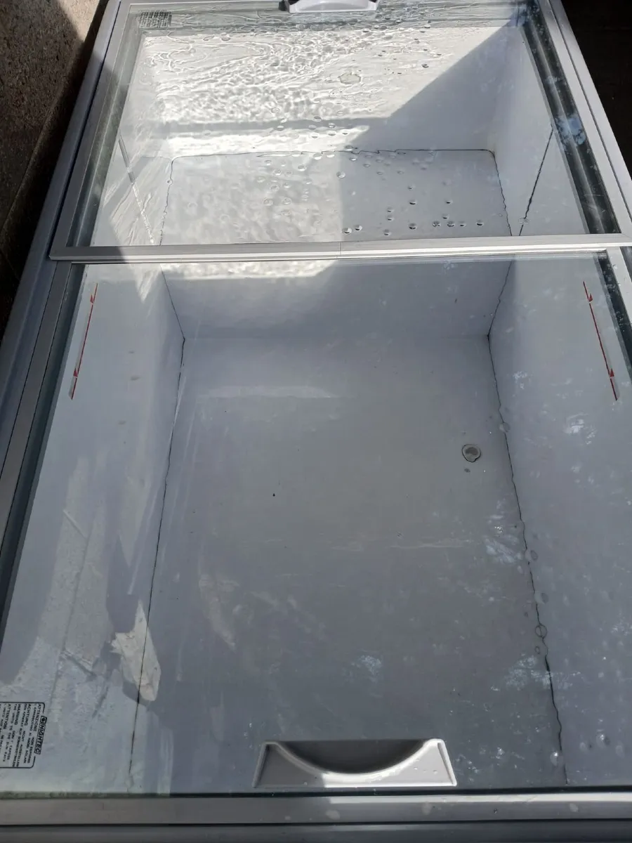 DISPLAY FREEZER FOR SALE - Image 2