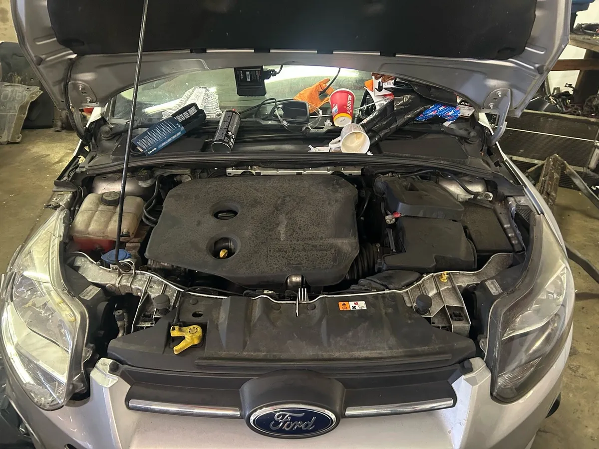 Focus/qashqai - Image 3