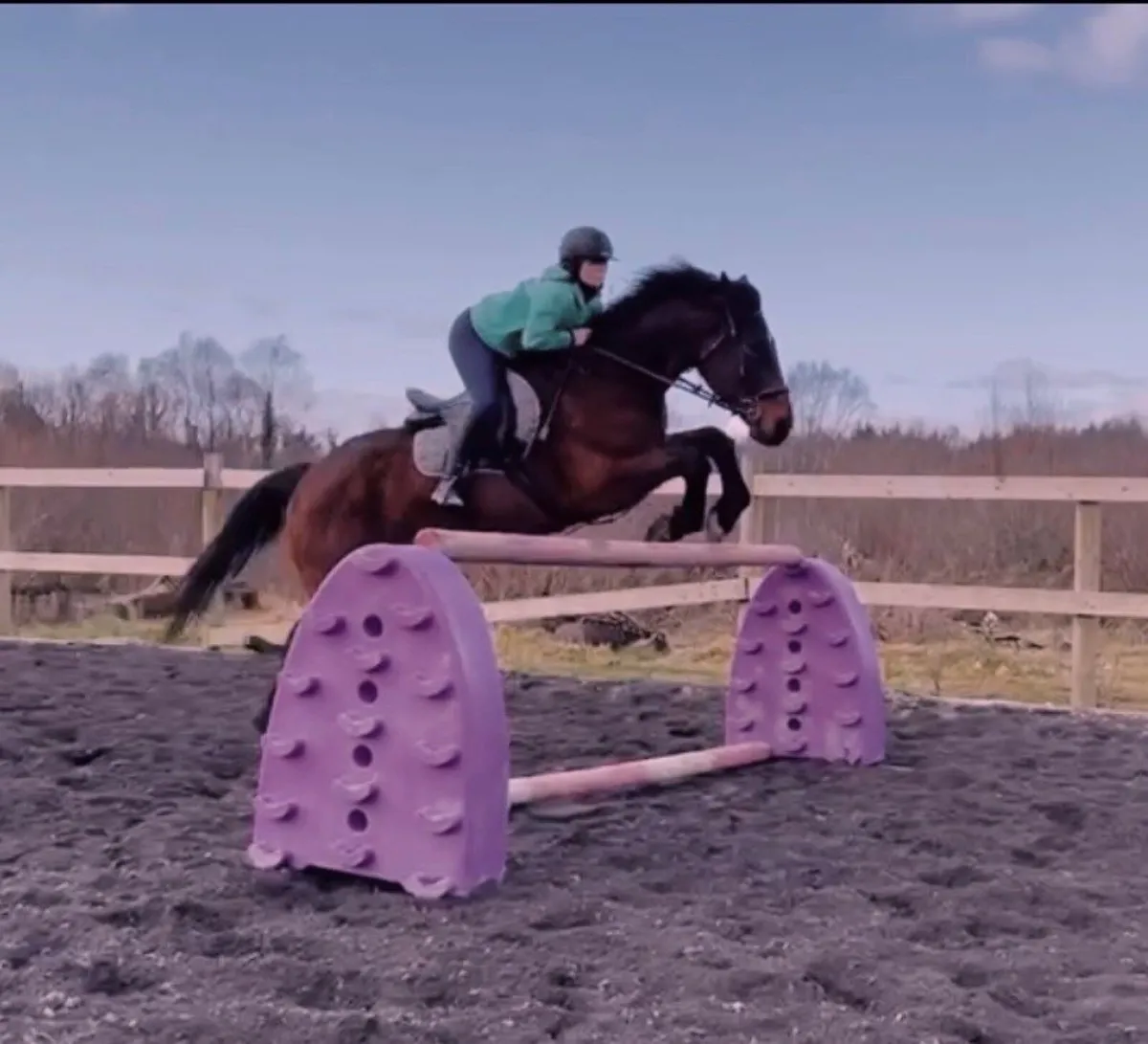 Horse - Image 1