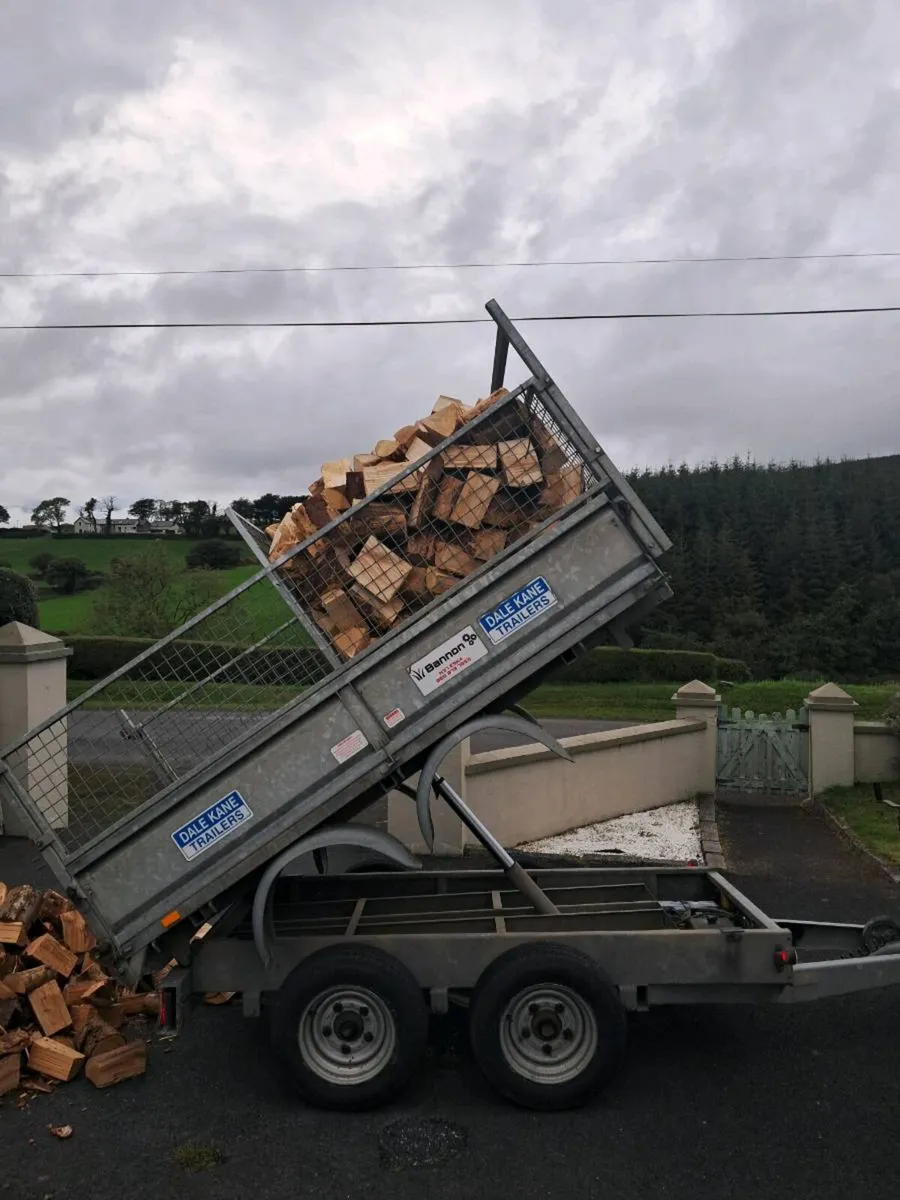 Firewood for sale covering cork Kerry limerick - Image 1
