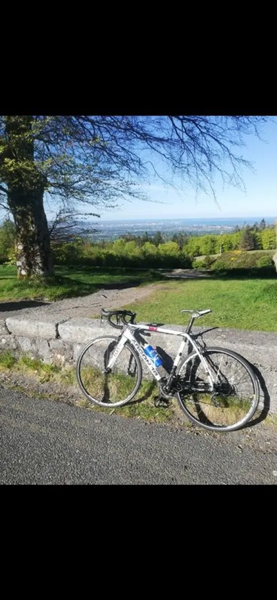 Argon 18 Krypton Carbon Road Bike - Image 2