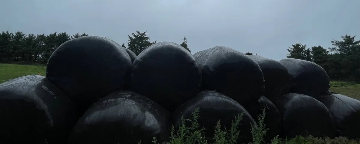 Silage Bales - Image 1