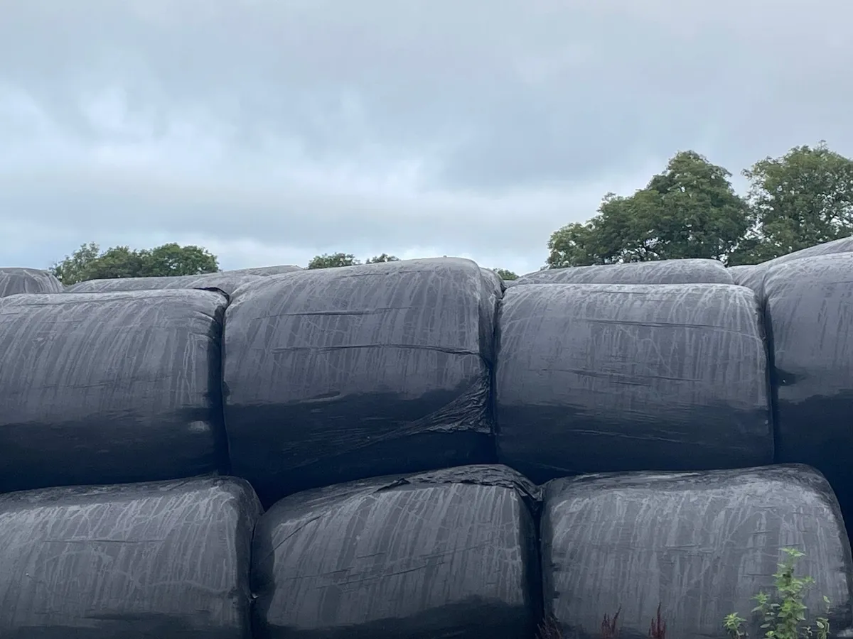 Silage Bales - Image 3