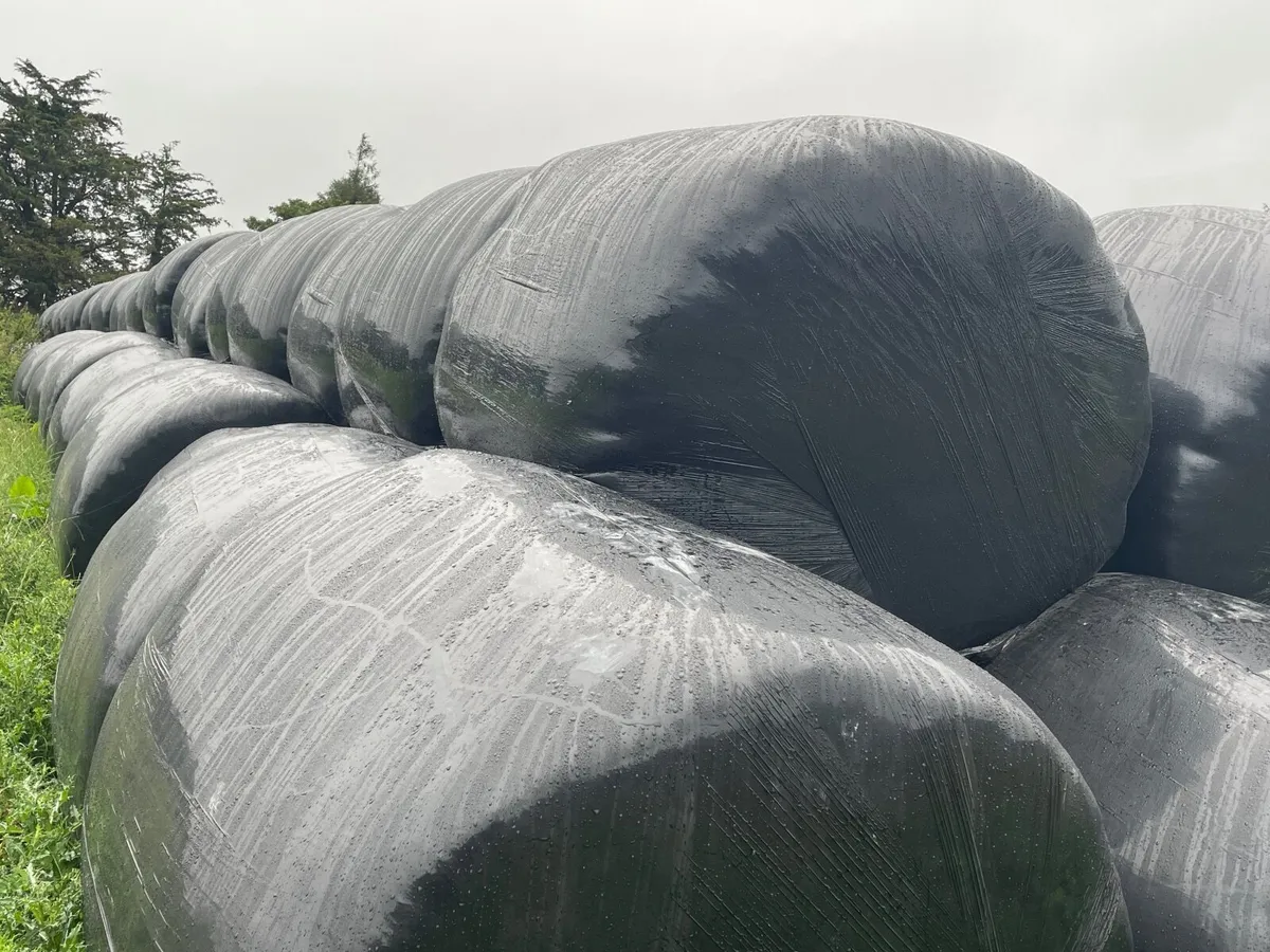 Silage Bales - Image 4
