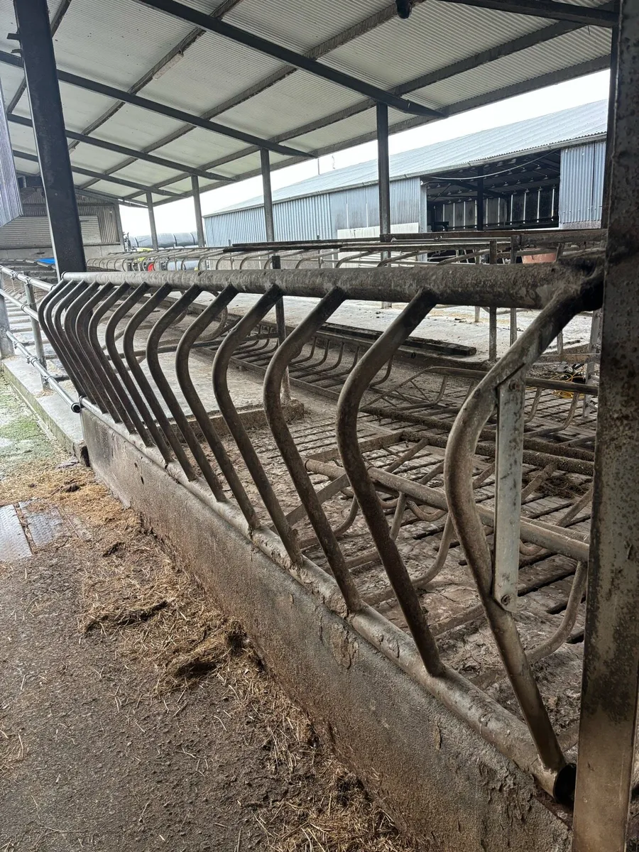 Feeding barriers - Image 1