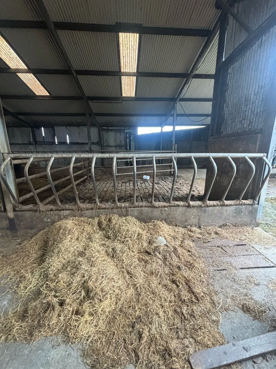 Feeding barriers - Image 2