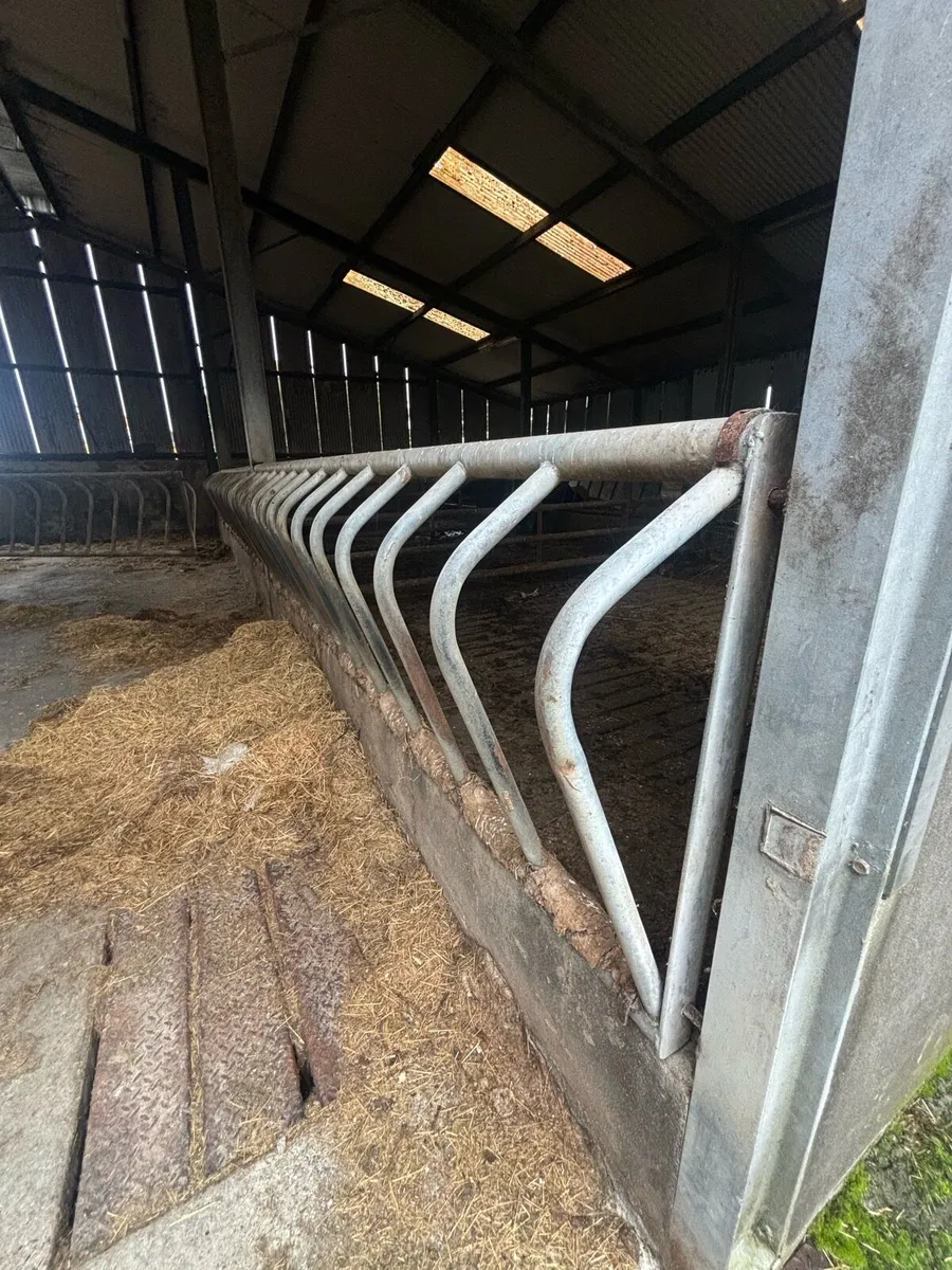 Feeding barriers - Image 4
