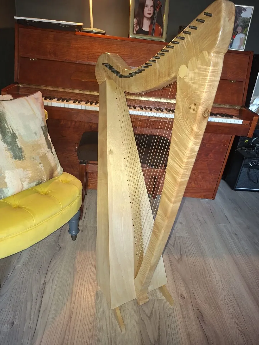 Callan Harp - 32 String - Image 4