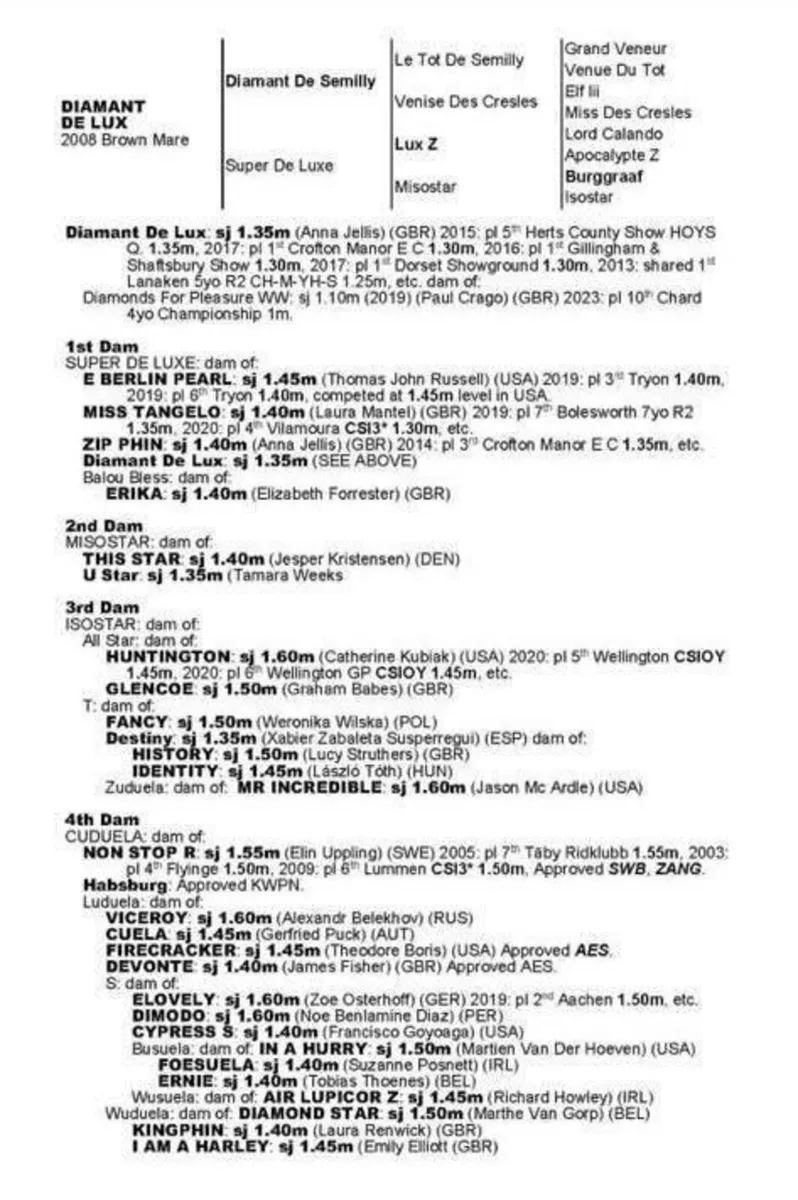 Empty Brood mares - Image 2