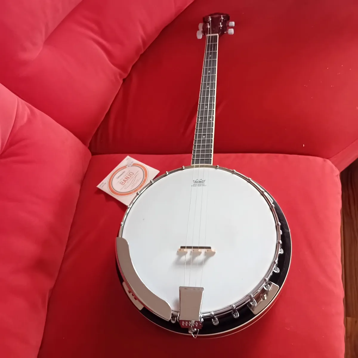 Banjo - Image 2