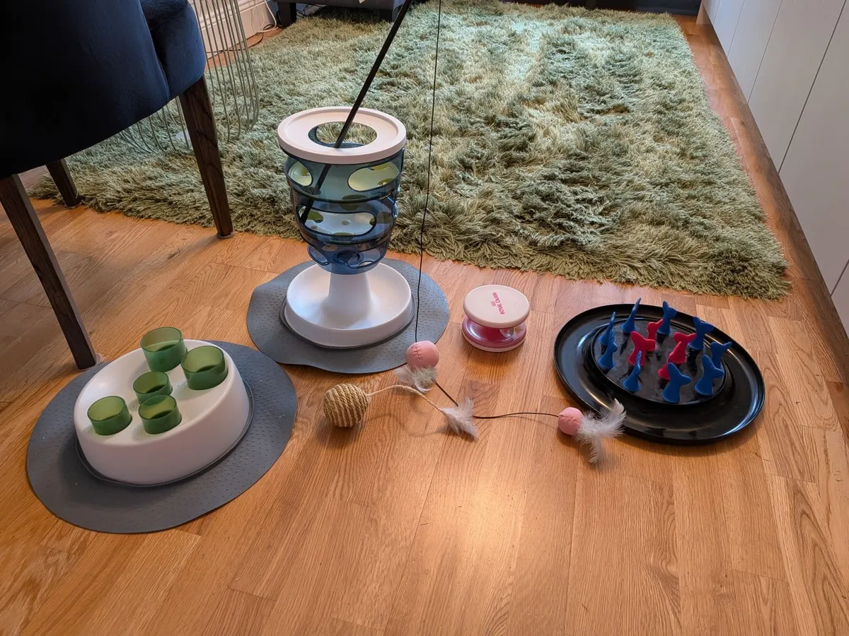 Cat toys - Image 1